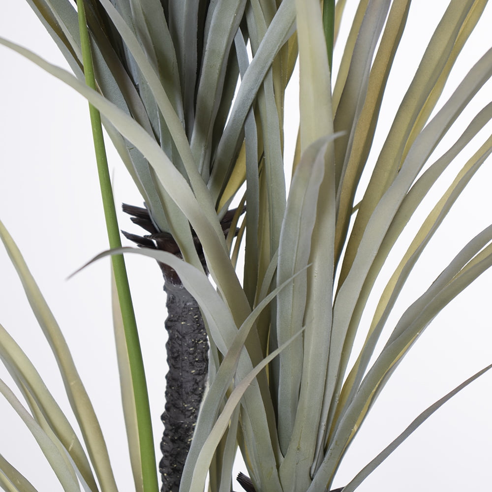 Dracaena artificiel, 3 troncs, 63" – Image 6 - Décors Véronneau