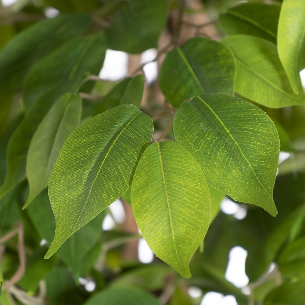 Artificial ficus, 51'' - Image 7 - Décors Véronneau