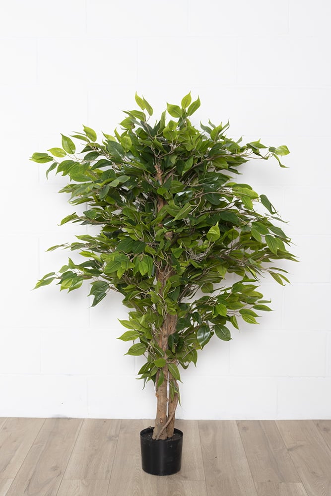 Artificial ficus, 51'' - Image 8 - Décors Véronneau
