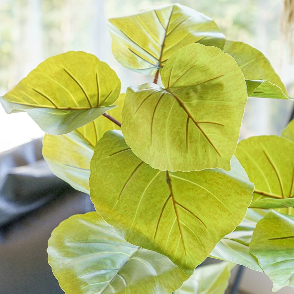 Plante artificielle ficus umbelleta, 36" – Image 5 - Décors Véronneau