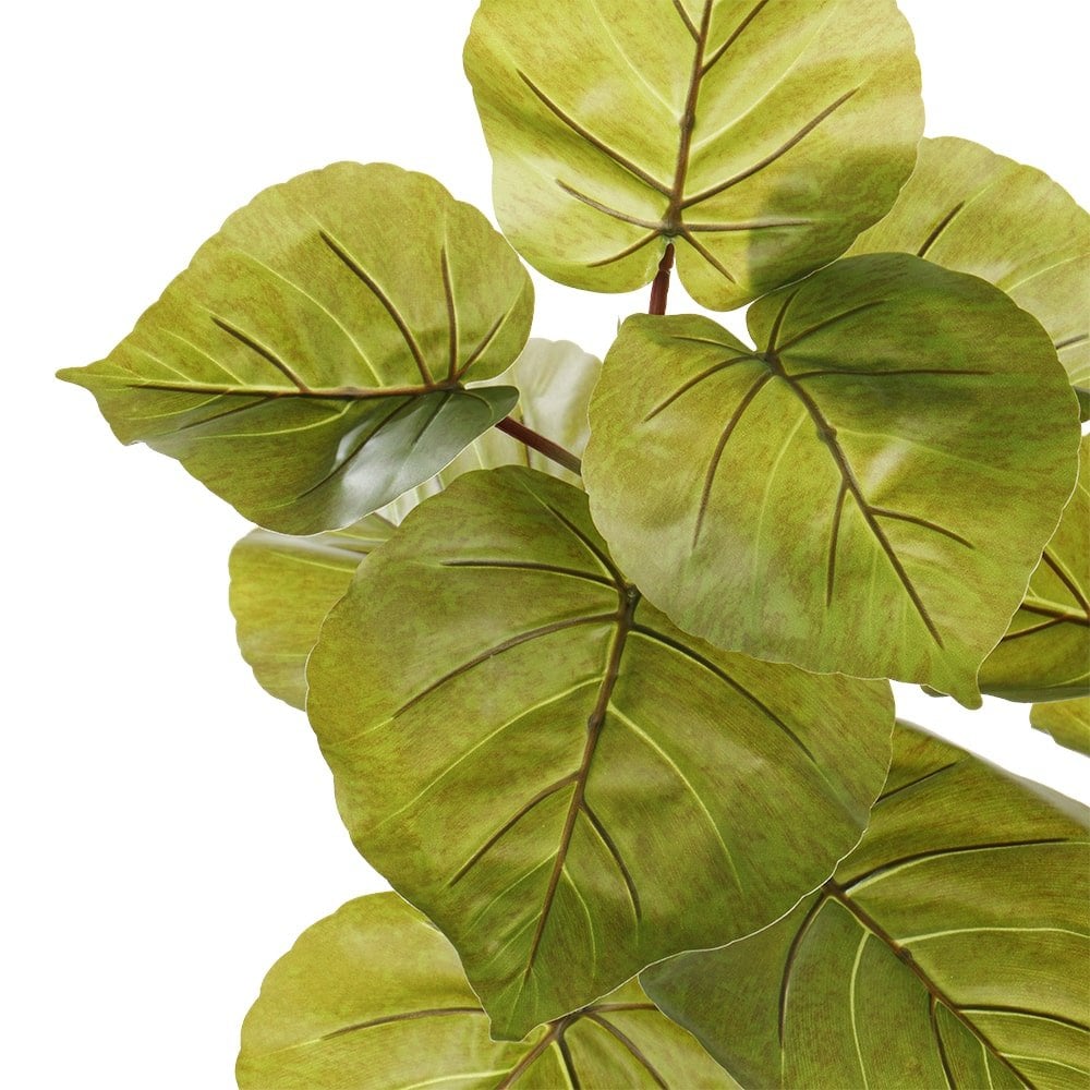 Plante artificielle ficus umbelleta, 36" – Image 7 - Décors Véronneau