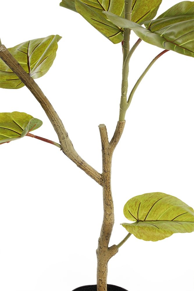 Plante artificielle ficus umbelleta, 36" – Image 6 - Décors Véronneau