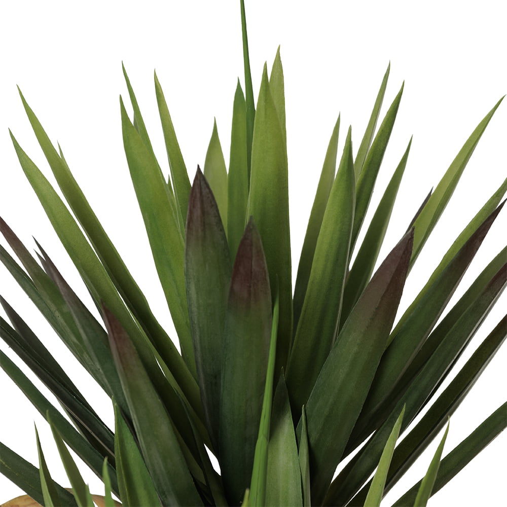 Agave americana artificiel à deux troncs, 39'' – Image 4 - Décors Véronneau