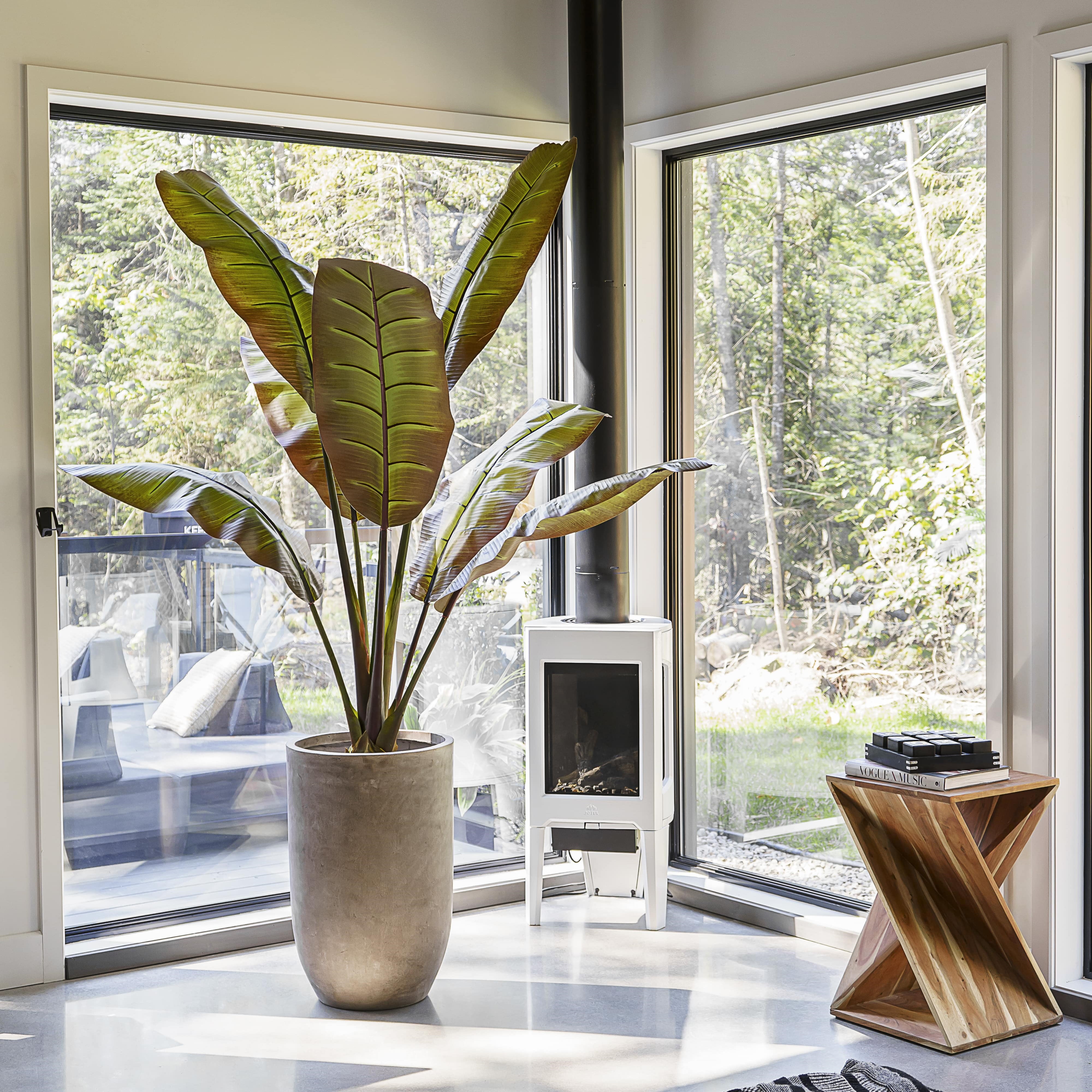 Bananier rouge artificiel, 75