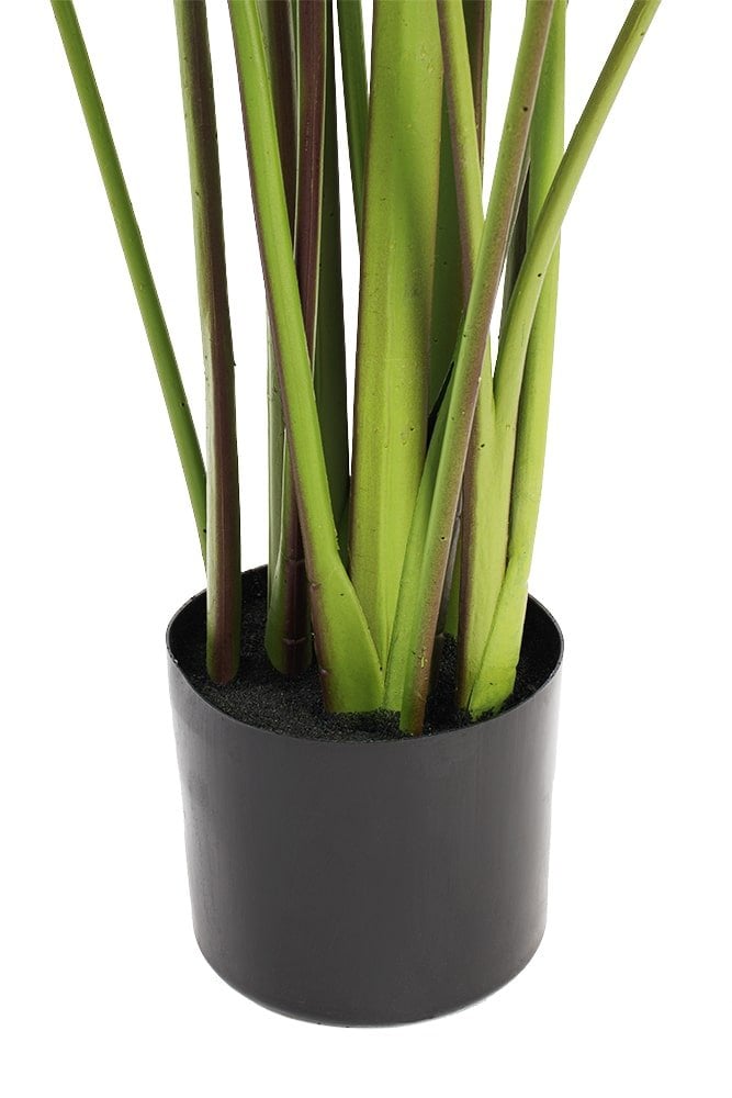 Plante artificielle cténante, 63" – Image 7 - Décors Véronneau