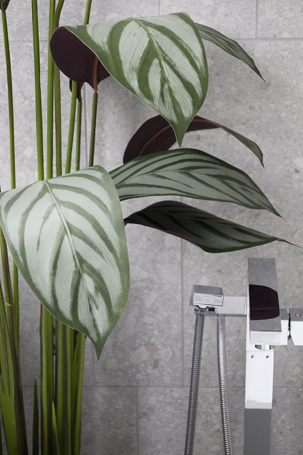 Plante artificielle cténante, 63" – Image 4 - Décors Véronneau