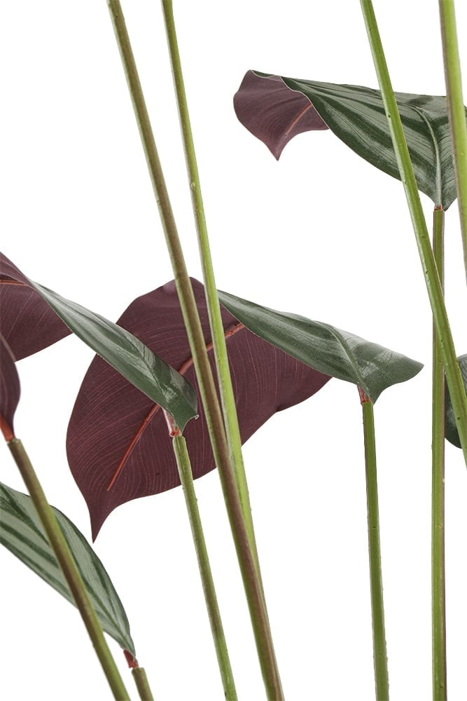 Plante artificielle cténante, 63" – Image 6 - Décors Véronneau