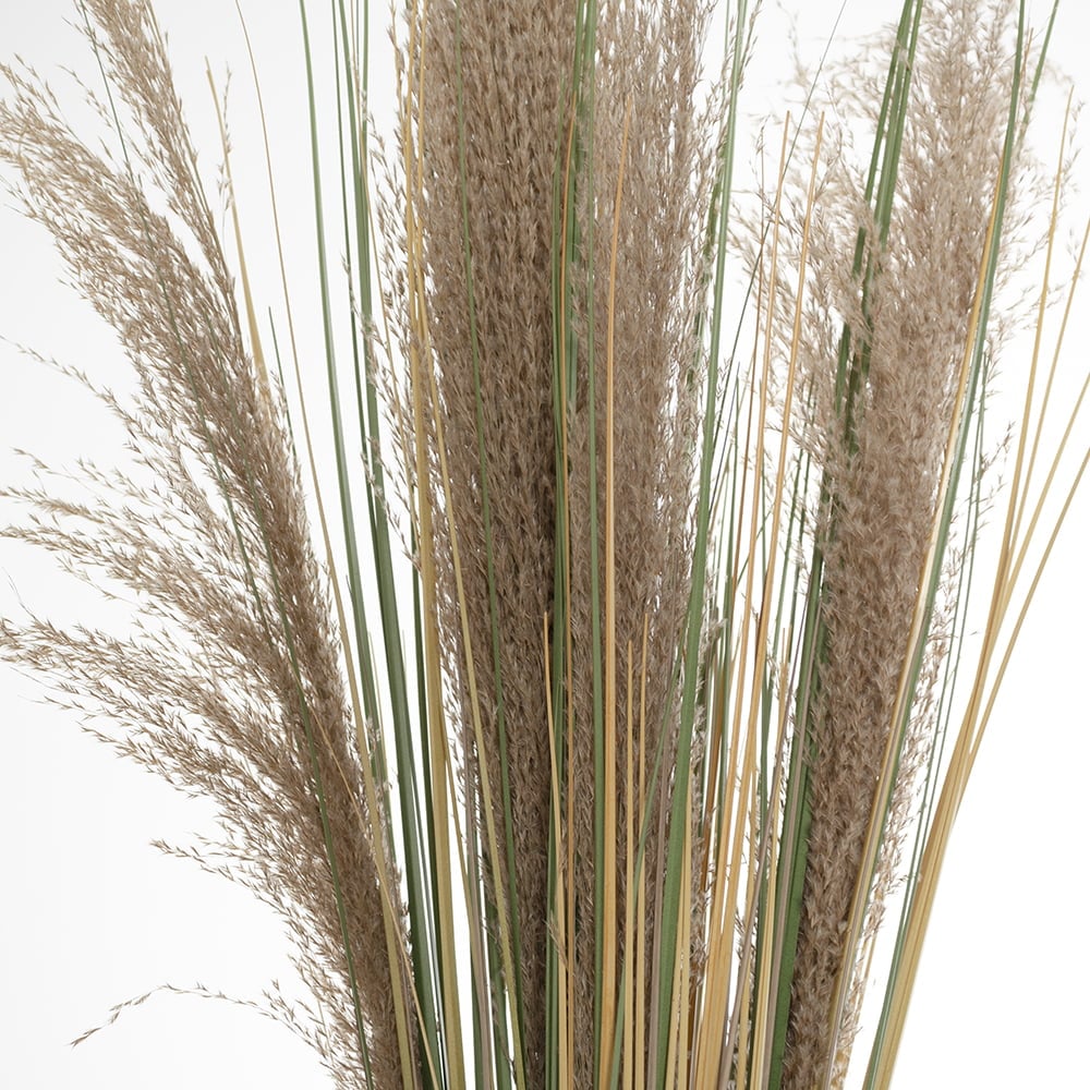 Bouquet de pampas, 39