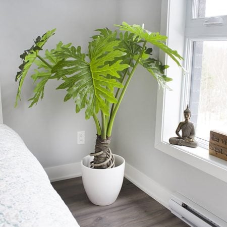 Philodendron artificiel, 48