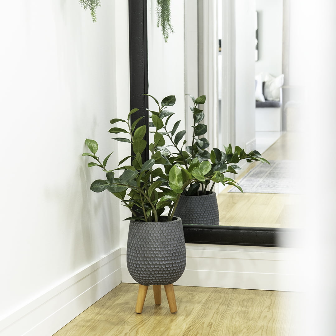 Artificial potted zamioculcas plant Décors Véronneau