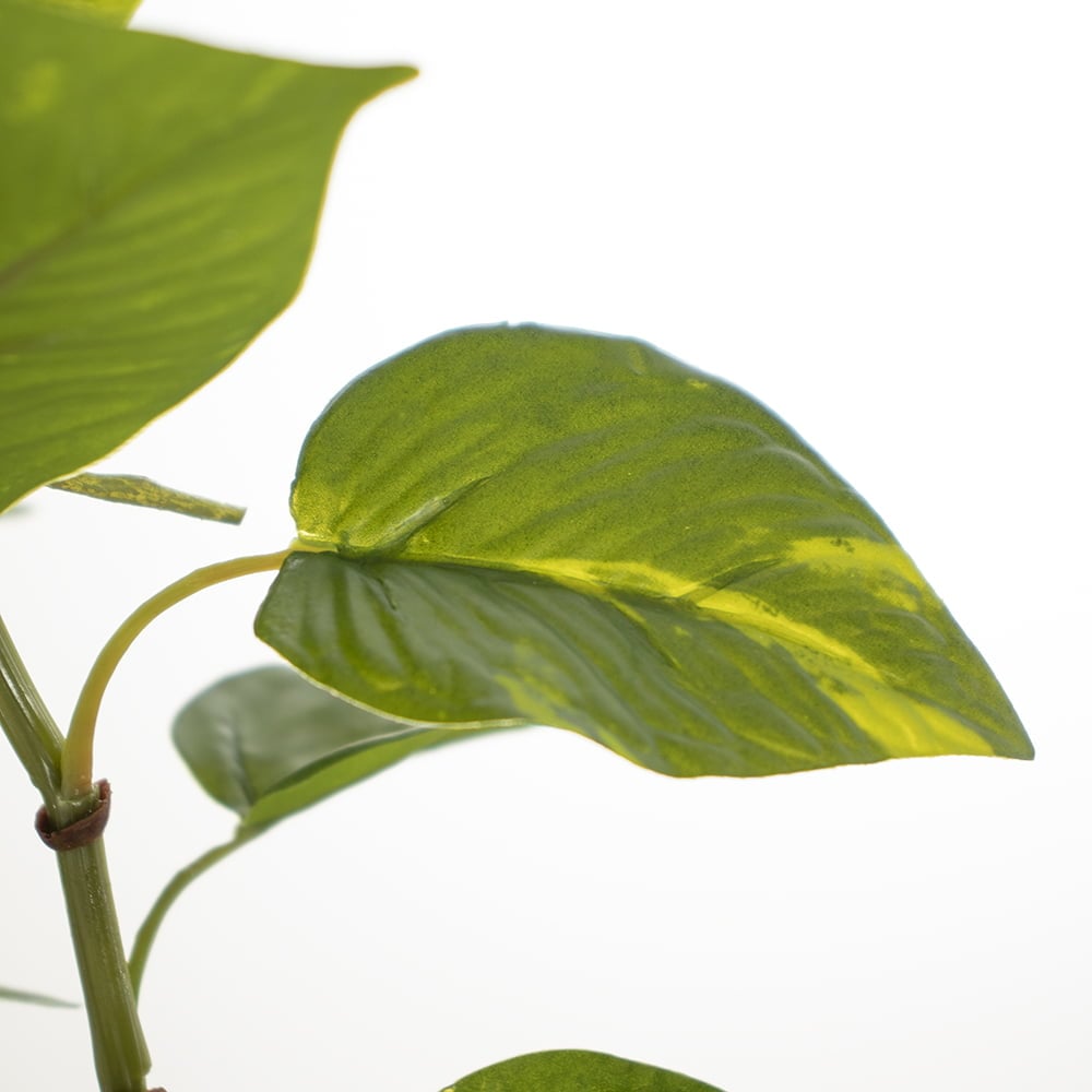 Artificial hanging pothos plant, 22'' Décors Véronneau
