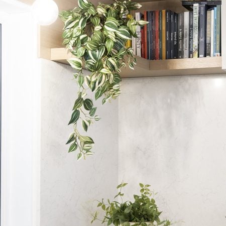 Plante suspendue, misère pourpre artificielle, 32