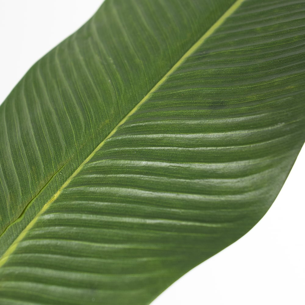 Feuille de bananier artificiel, 40,5