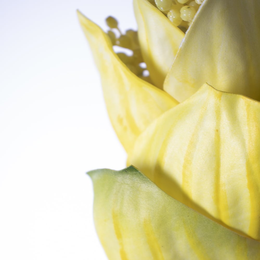 Artificial medinilla magnifica yellow flower, 32
