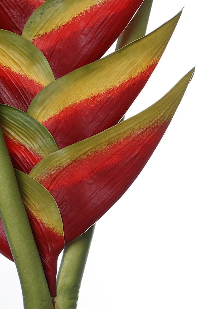 Artificial orange bird of paradise stem, 32