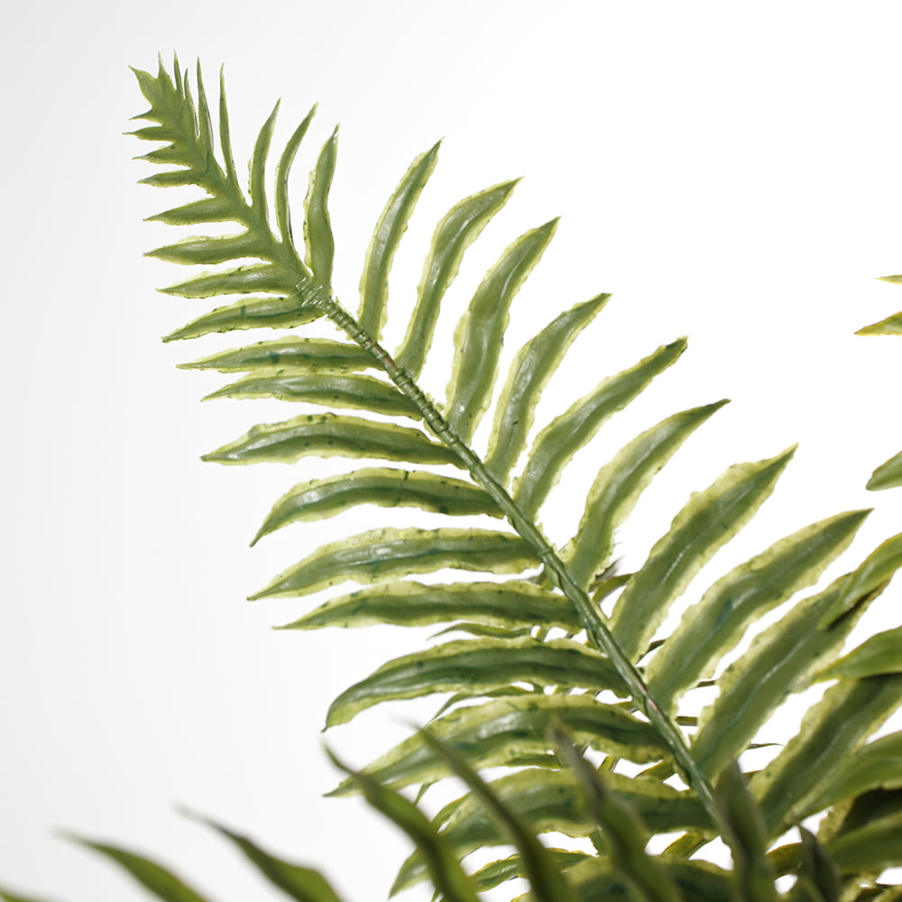 Outdoor artificial filicophyta fern, 19