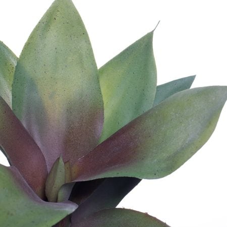 Tige de dragonnier artificiel, 15