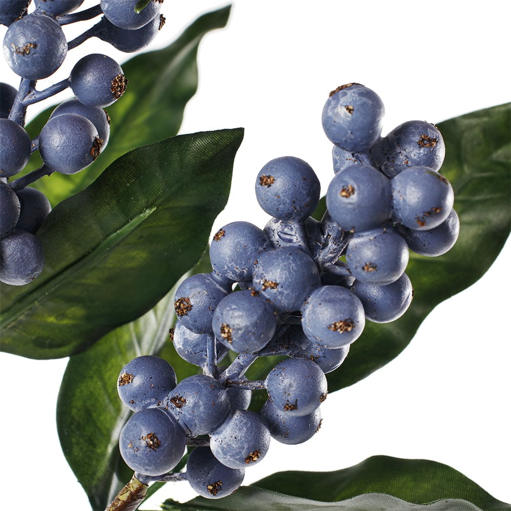 Blue berry cluster stem, 24