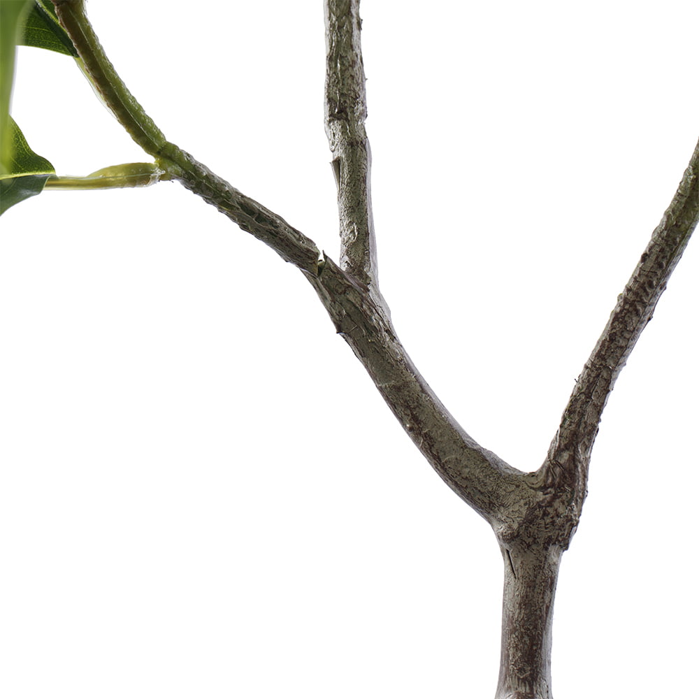 Arbre de magnolia vert artificiel, 51" – Image 5 - Décors Véronneau