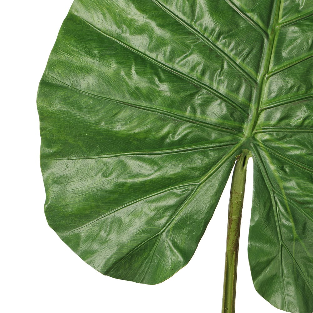 Artificial giant alocasia leaf, 44