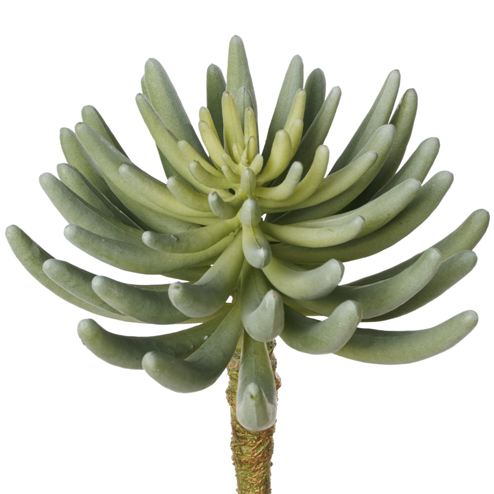 Best Artificial Plants Canada Décors Véronneau