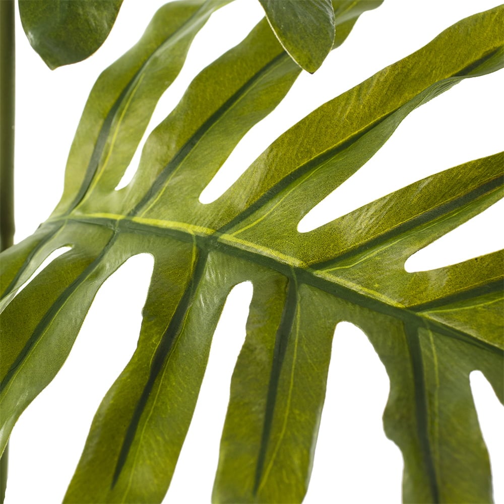 Artificial blue star fern stem, 22