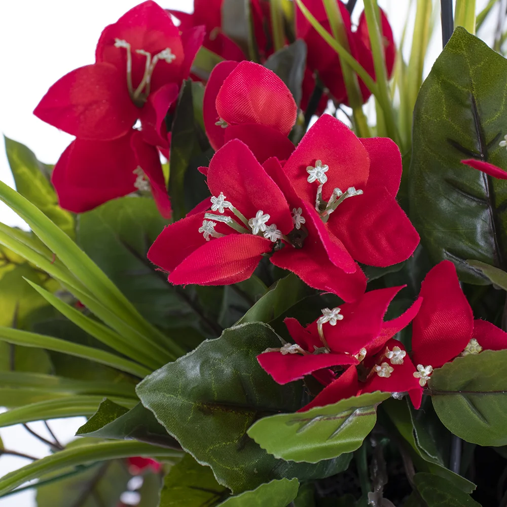 Outdoor hanging planter of bougainvillea, 18 x 16