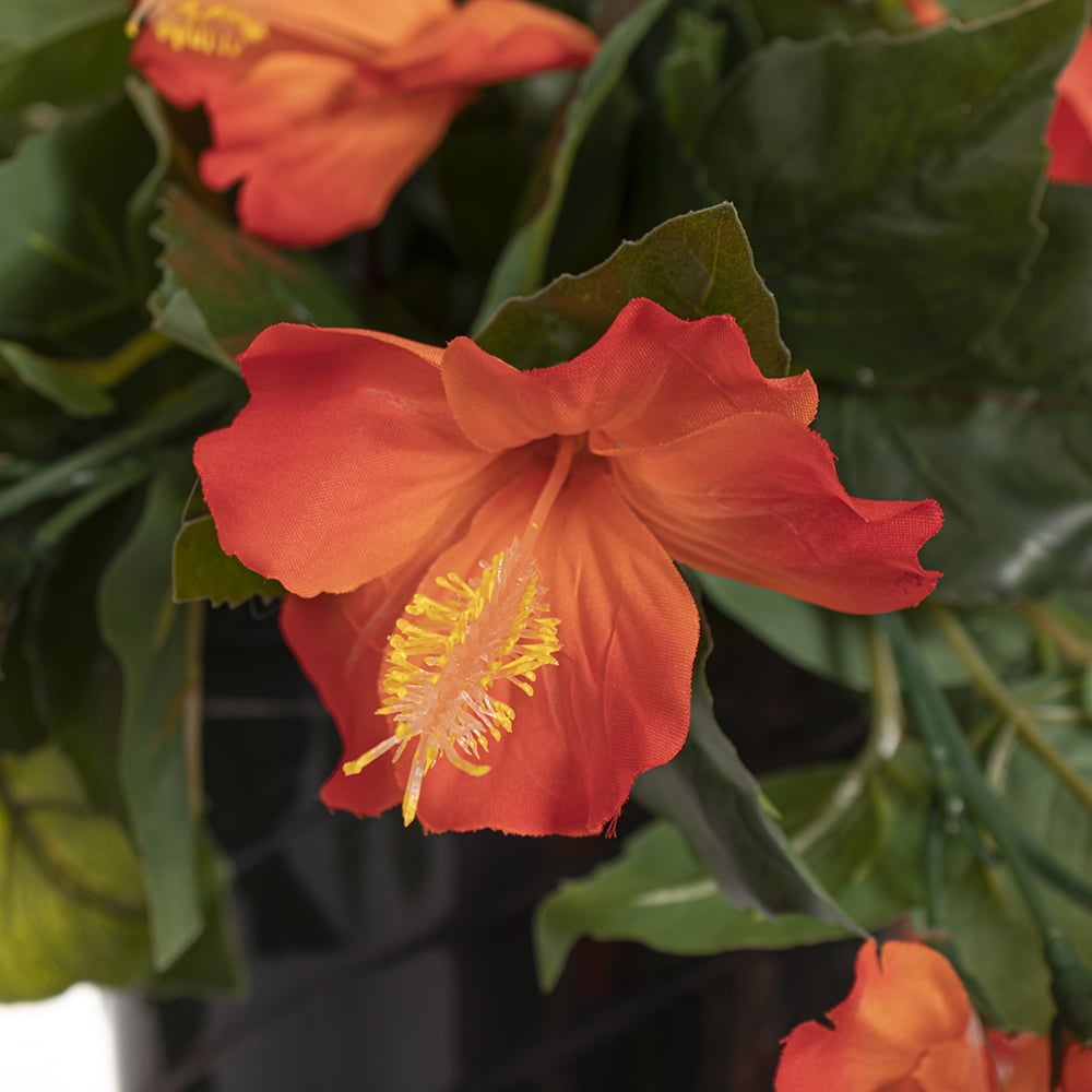 Jardinière suspendue d'hibiscus orange artificiel, 18 x 16