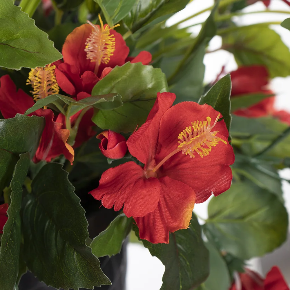 Outdoor hanging planter of red hibiscus, 18 x 16