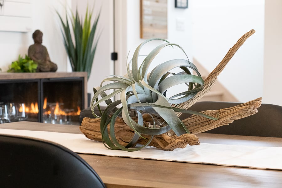 Ghostwood logs extra long 5-6' - Décors Véronneau