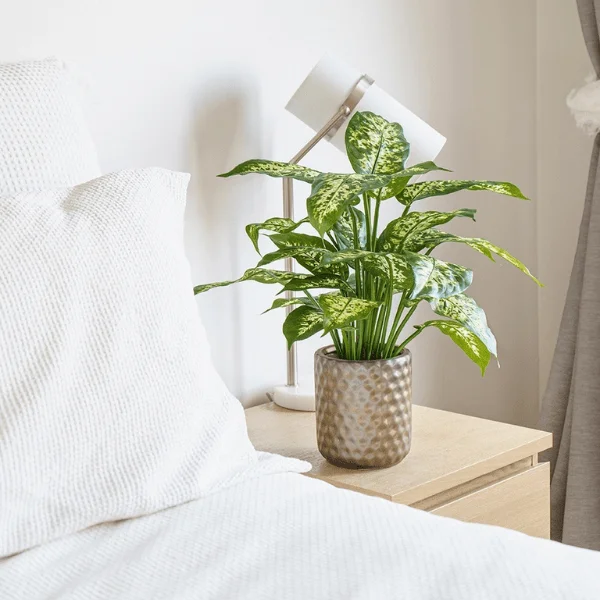 Best Artificial Plants Canada Décors Véronneau