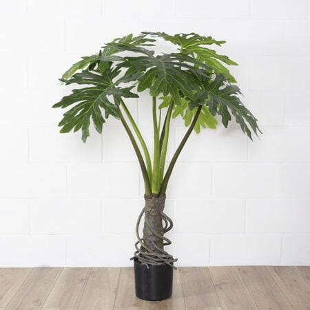 Artificial philodendron, 48