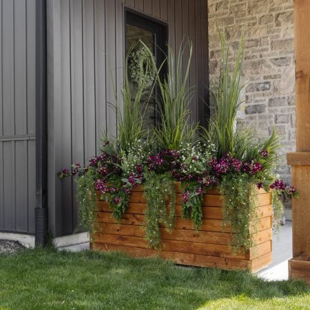 Bougainviller suspendu extérieur mauve foncé, 30,5″ - Décors Véronneau