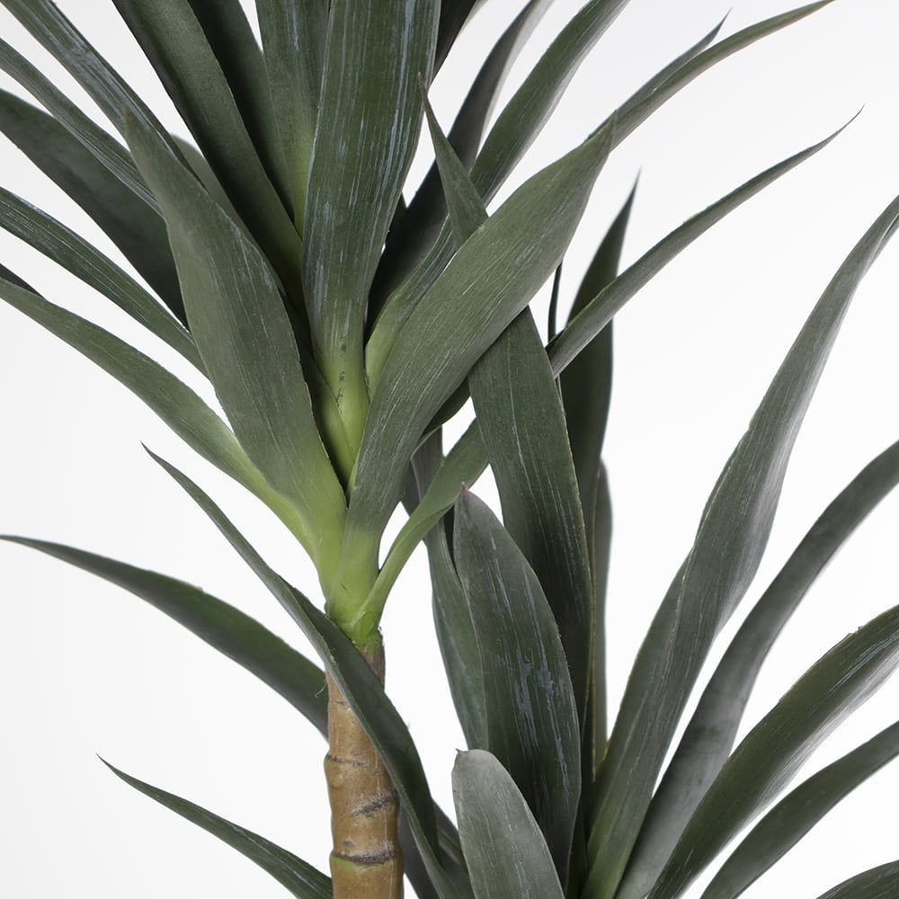 Agave sisalana artificiel, 4 troncs, 71'' – Image 6 - Décors Véronneau