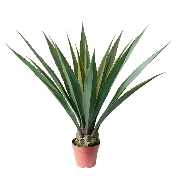 Agave artificiel - Décors Véronneau
