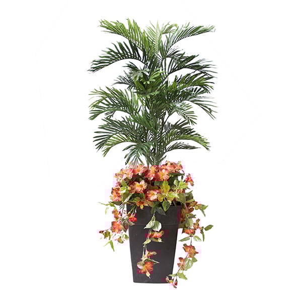 Outdoor palm tree and orange hibiscus, 6,5'