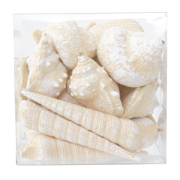 Boîte de coquillages assortis