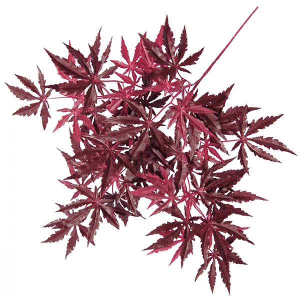 Japanese maple leaf red - Décors Véronneau