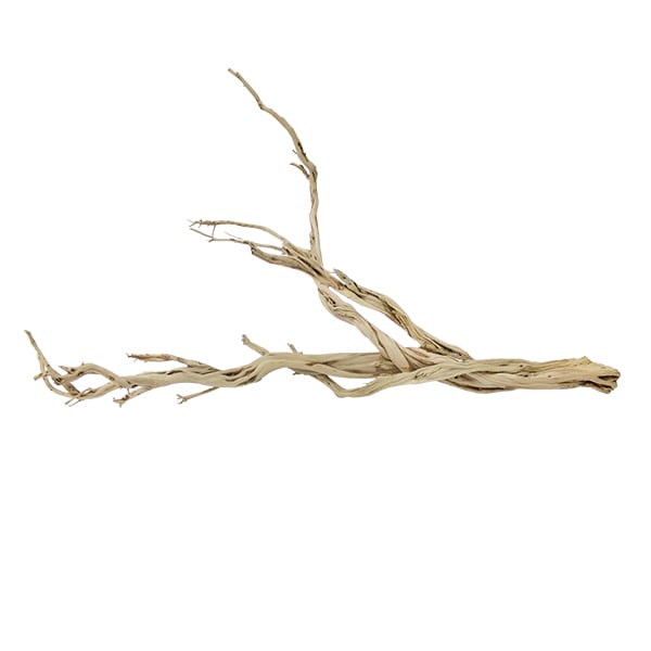 Sandblasted ghostwood branch, 48''