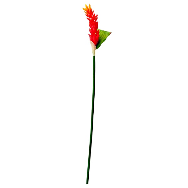 Orange Heliconia Stem With Greenery