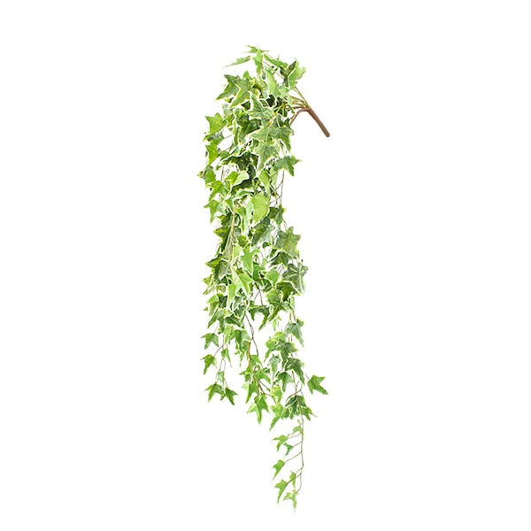 Artificial green and cream hanging ivy plant, 48''