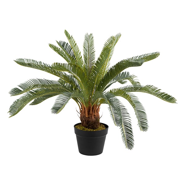Palmier extérieur artificiel, cycas, 27,5''