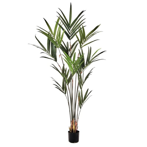 Palmier kentia intérieur artificiel, 72