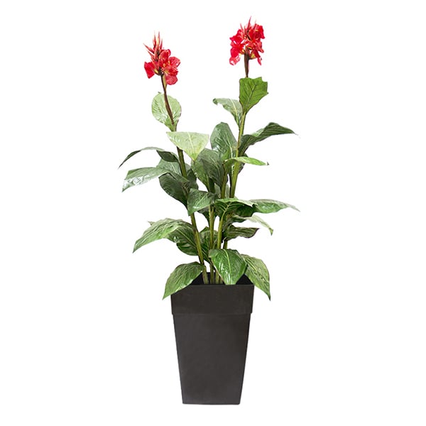 Canna rouge artificiel extérieur en pot, 64''