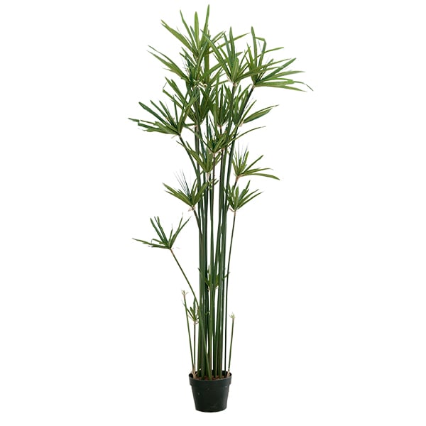 Plante artificielle de papyrus, 60''