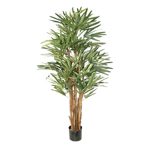 Palmier raphis artificiel, 60''