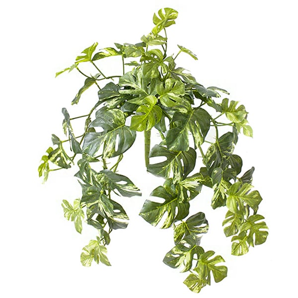 Artificial hanging monstera plant, 24