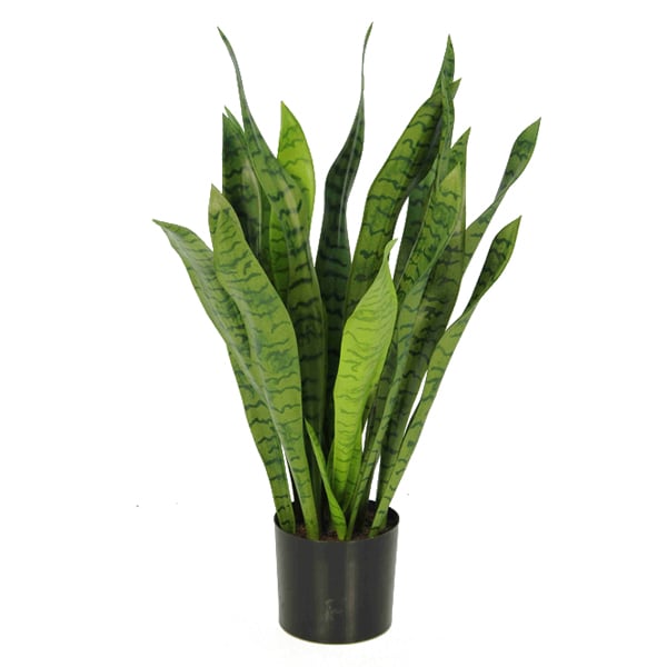 Sansevière trifasciata verte artificielle, 31''