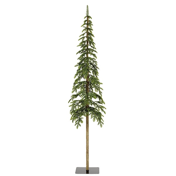 Narrow alpine fir on stand, 84''