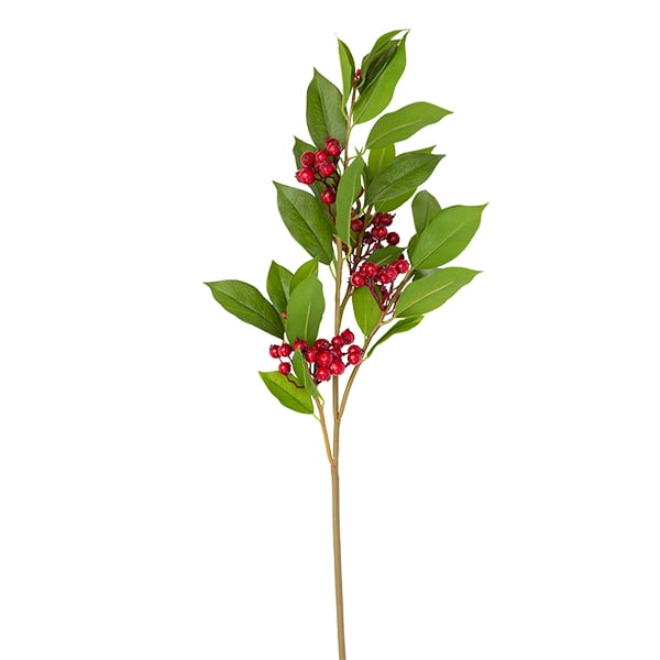 Tige de feuillage et baies rouges, 31